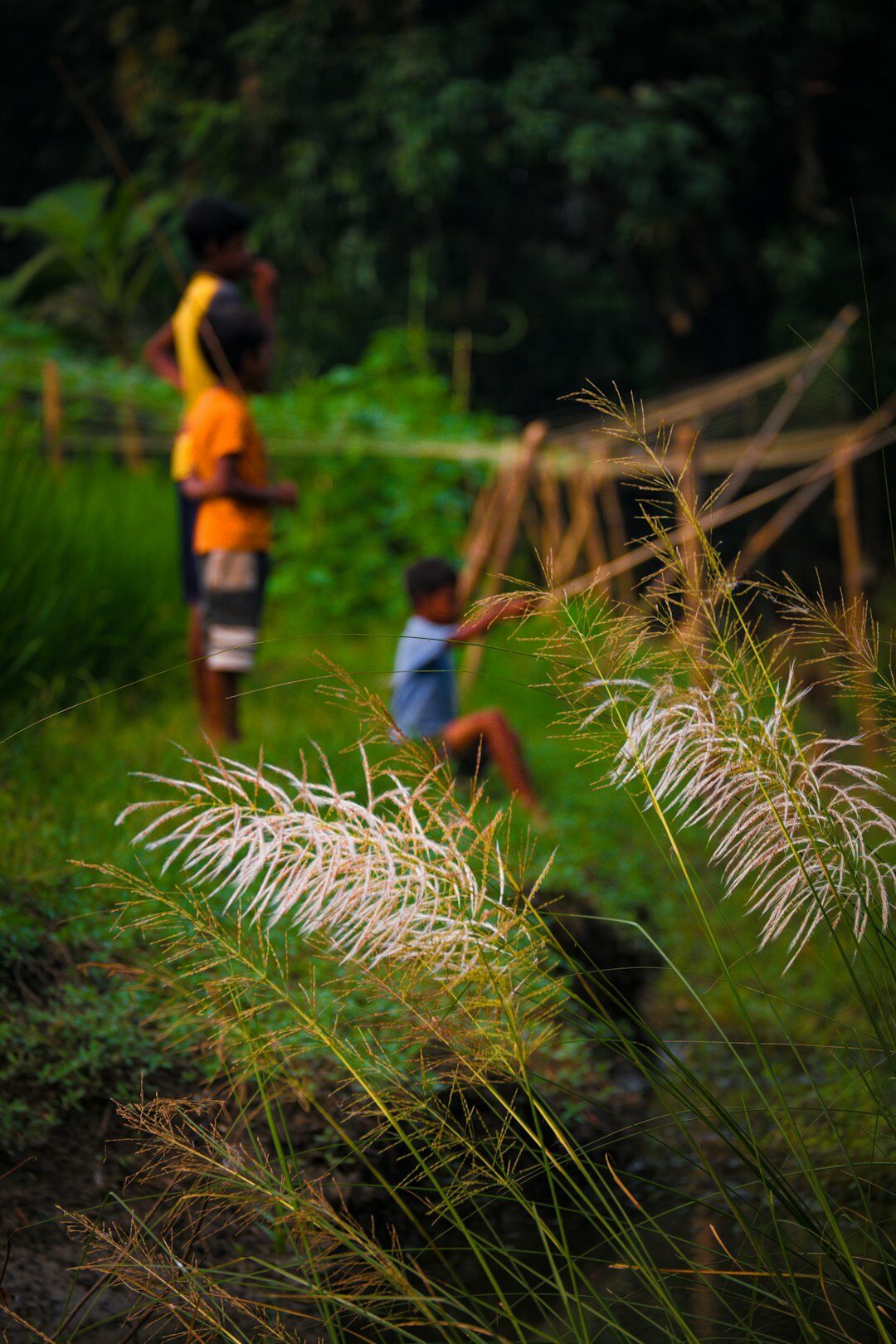 documentary photographer in village